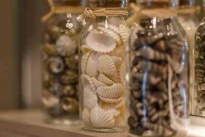 Appartement Sterflat 215