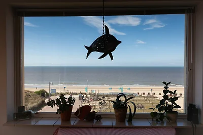 Appartement Zandpret