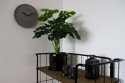 Appartement Sea la Vie