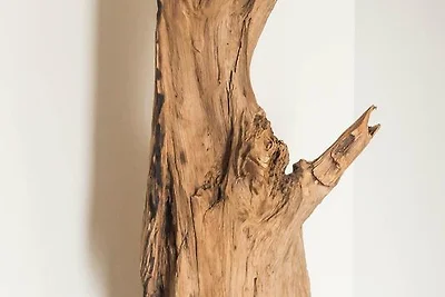 Appartement Sterflat 215