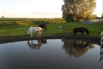 Ranch del Lago dei Cavalli