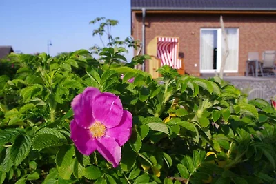 Casa di vacanza Kranich-Hus