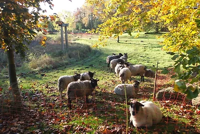 Hof Kranichmoor