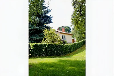 Ferienhaus zur Blautanne F****