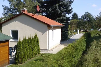 Ferienhaus zur Blautanne F****