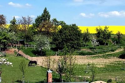 Ferienhaus zur Blautanne F****