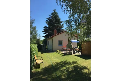 Ferienhaus zur Blautanne F****