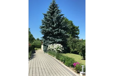 Ferienhaus zur Blautanne F****