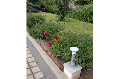 Ferienhaus zur Blautanne F****