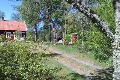 Hus vid sjön