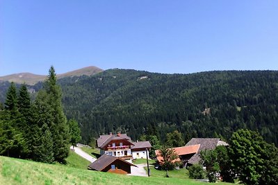 Almhof Stramer - FeWo