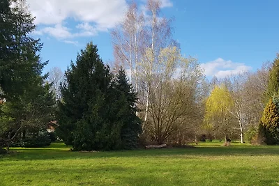 Ferienhaus Molle