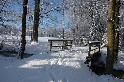 Ferienhaus Molle