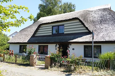 Amselnest