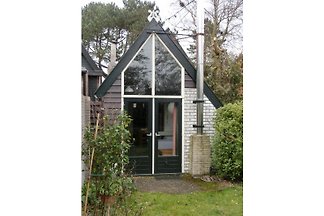 Ferienhaus Doorntjes 40 Bergen nh