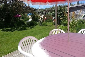 Promo giugno Pool biciclette Kayak inc
