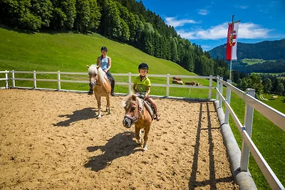 Am FERIENBAUERNHOF-Schmiedbauer.com