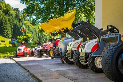 Am FERIENBAUERNHOF-Schmiedbauer.com