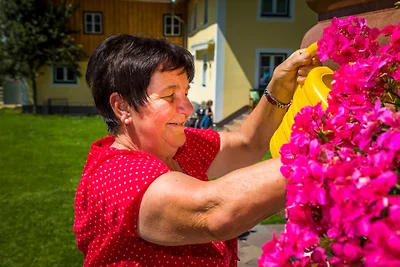 Am FERIENBAUERNHOF-Schmiedbauer.com