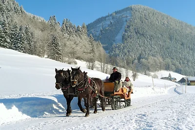 Am FERIENBAUERNHOF-Schmiedbauer.com