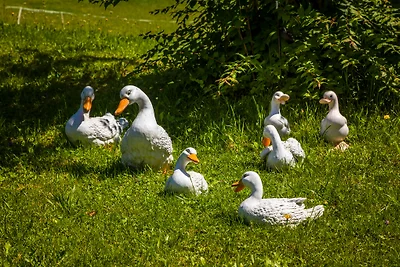 Am FERIENBAUERNHOF-Schmiedbauer.com