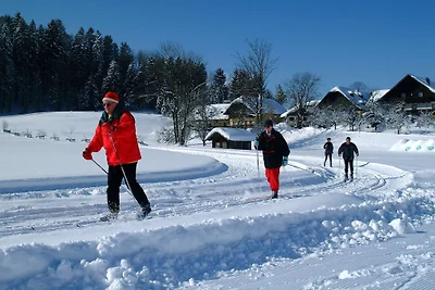 Am FERIENBAUERNHOF-Schmiedbauer.com