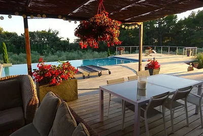 Oliviers et Lavandes