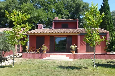 Oliviers et Lavandes