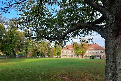 Das kleine Gemütliche