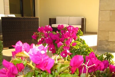 Villa Cava