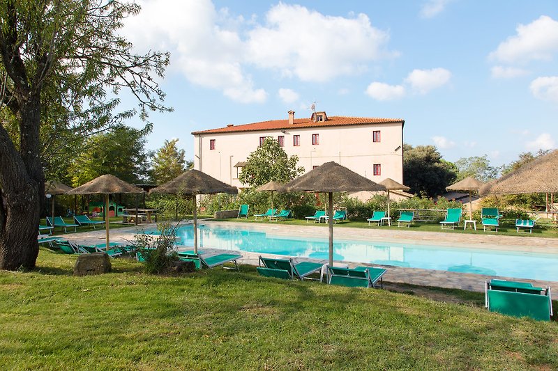 unsere Pool mit tropische Sonnenschirme und Liegestuehlen
