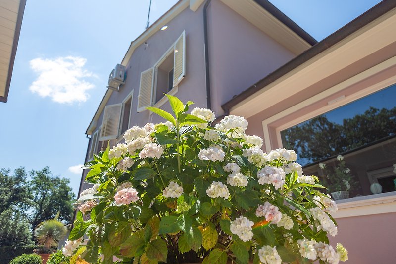 Schönes Haus mit blühenden Pflanzen und malerischem Himmel.