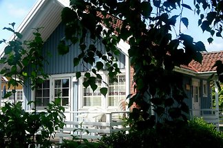 Seeblickhaus Moorfrosch am See