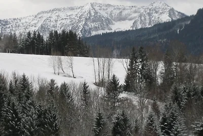 Krähennest