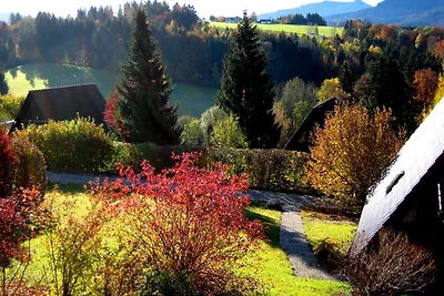 Krähennest