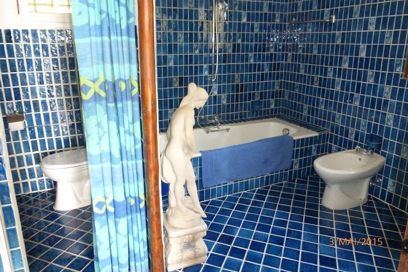 Blue bathroom (belonging to the master bedroom)