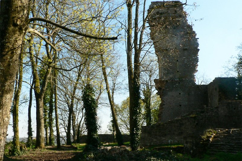 Ruins of Montaigu castle 1km from the gite