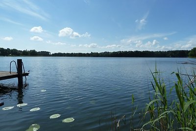 FH Eisvogel und Erle -Wasserlage