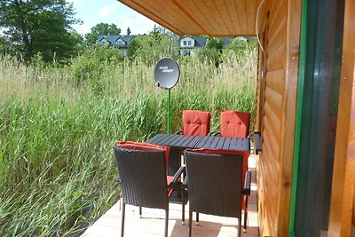 FH Eisvogel und Erle -Wasserlage