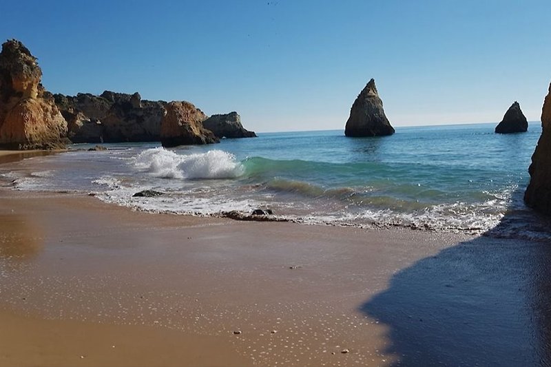typowe Algarve