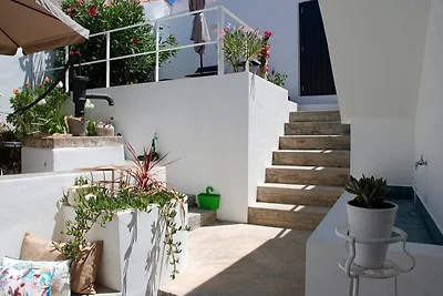 Studio Alma Verde