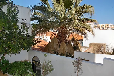 Appartement Studio Estrela do Sol