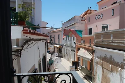 Studio Alma Verde
