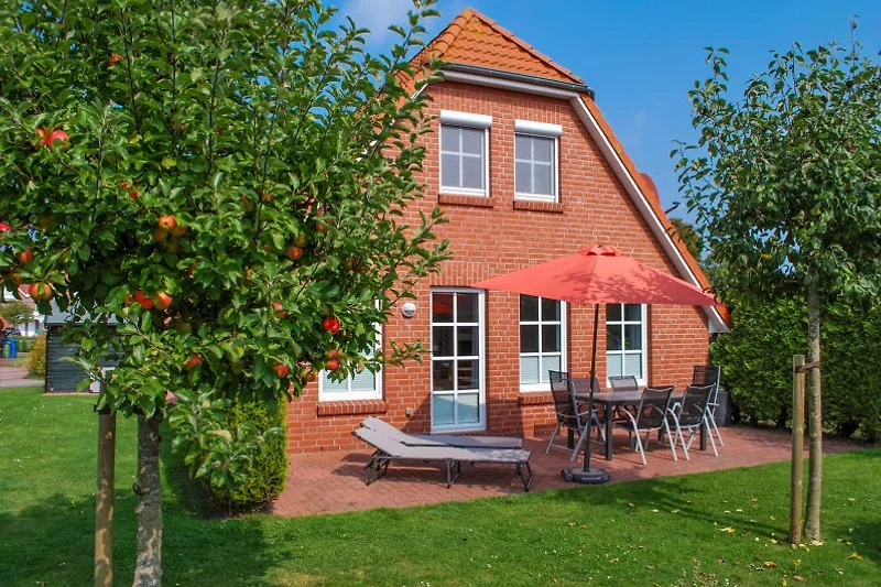windbeschermde zuidterras