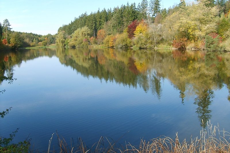 der schöne Fischbachsee