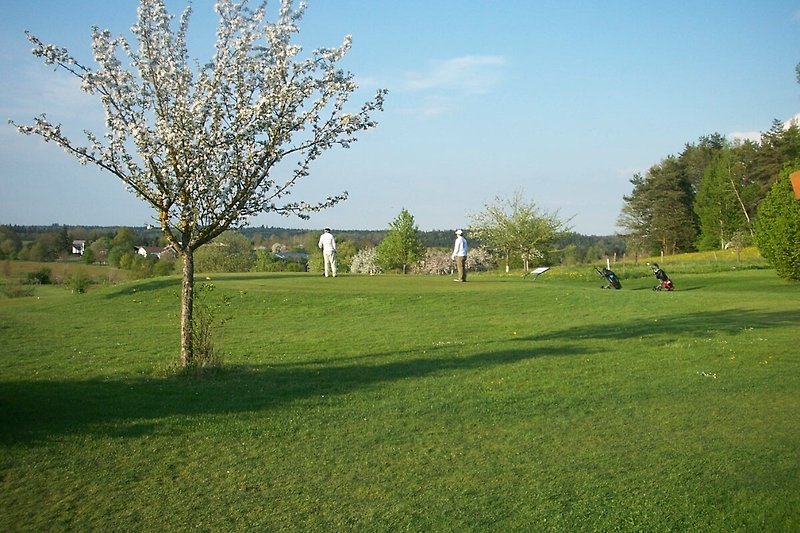 9 Loch Golfplatz  Eine idyllische Landschaft mit grünen Wiesen, Bäumen und absoluter Ruhe Einkehr am Golfhaus
