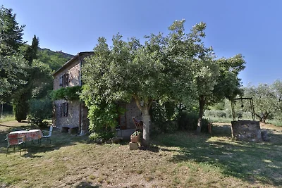 La Prediera
