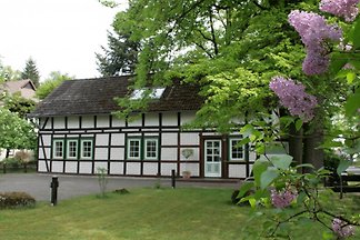 Schmetjens Hof - Gästehaus / FeWo