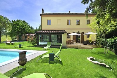 Marcheholiday Luce tra i faggi