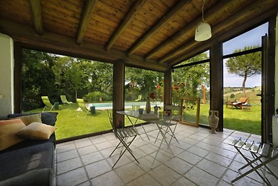 Marcheholiday Luce tra i faggi